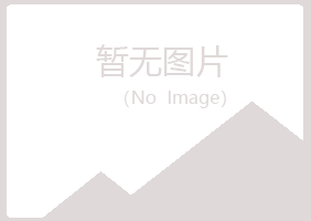 曲阜白山律师有限公司